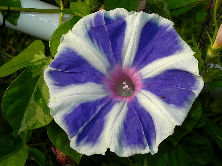 6DSCN8638