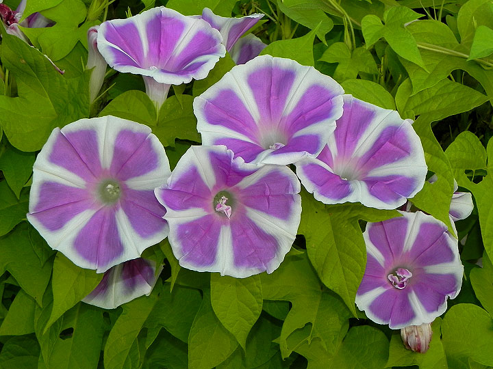 6DSCN9035