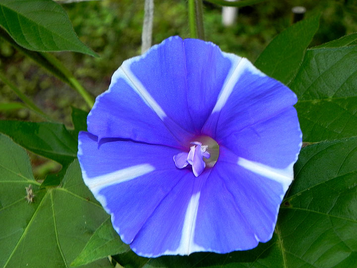 6DSCN9892
