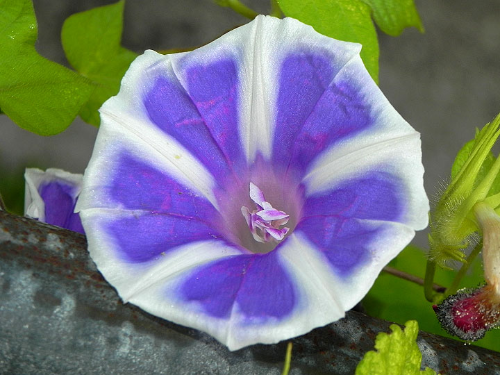 DSCN0078