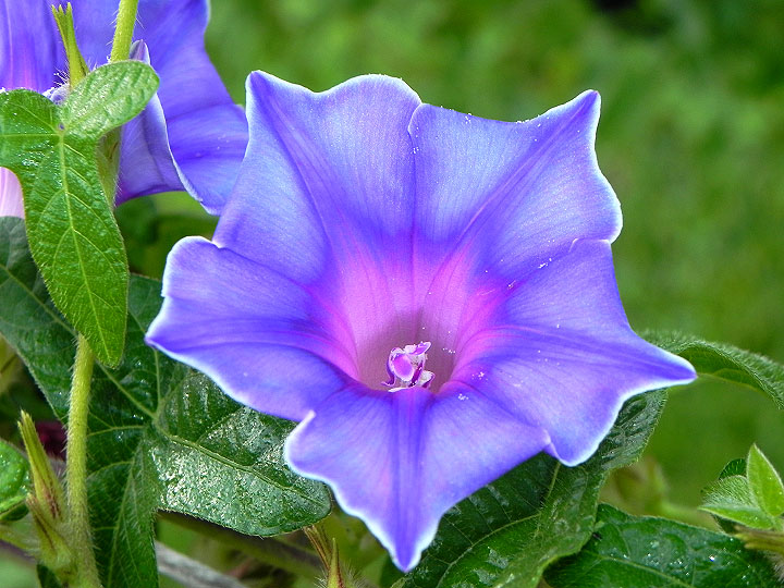 DSCN0096