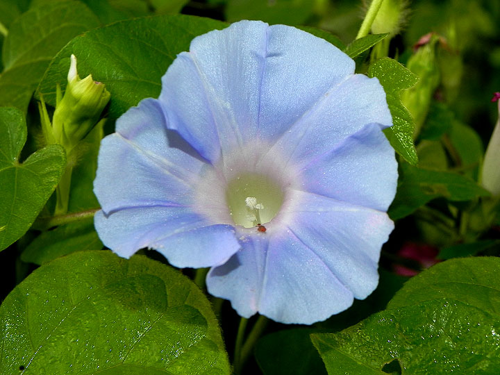 DSCN0165