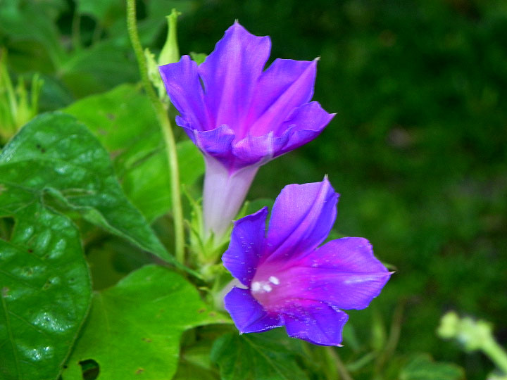 DSCN0184