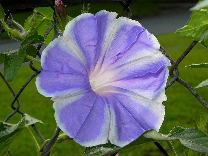 DSCN0195