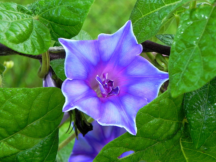 DSCN0237