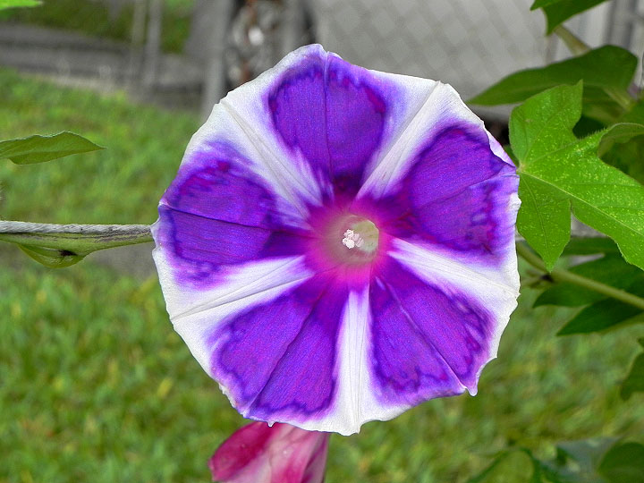 DSCN0237