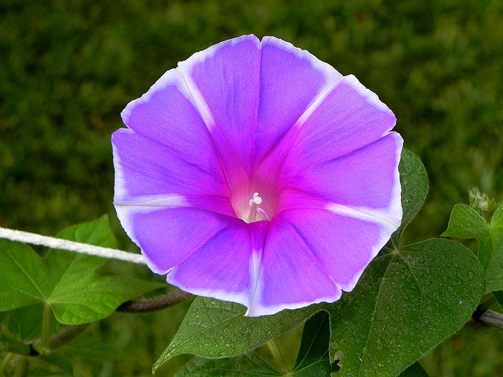 DSCN0252