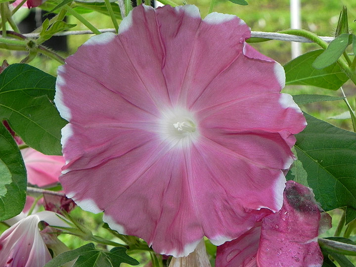 DSCN0276