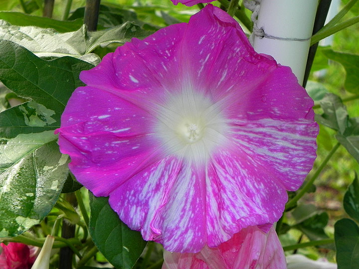 DSCN0290