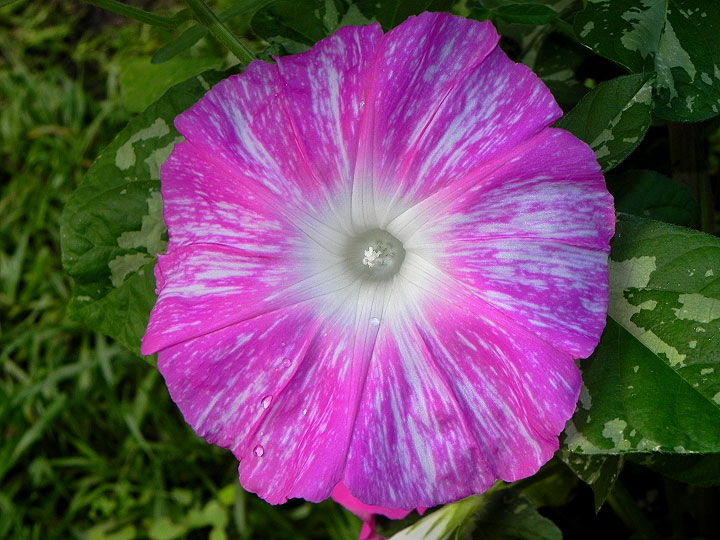 DSCN0291