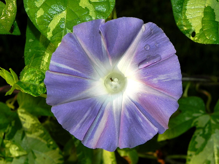 DSCN0298