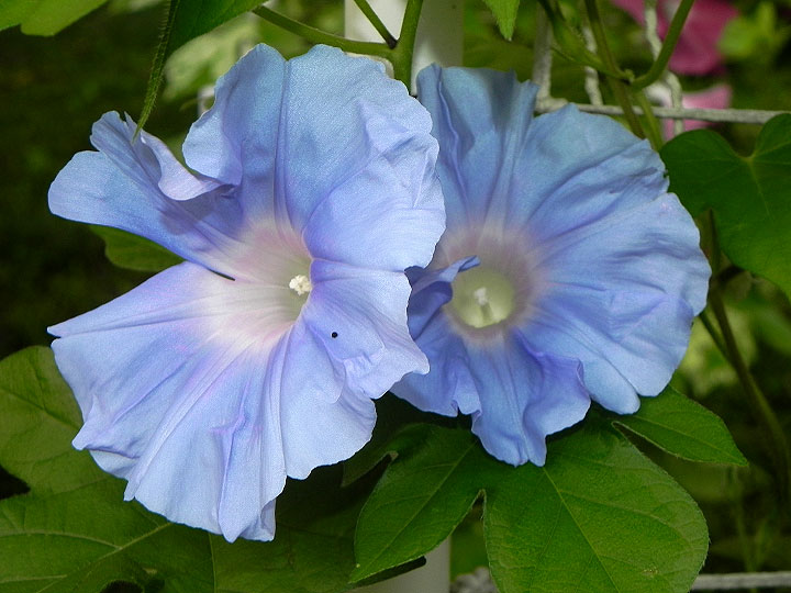 DSCN0341