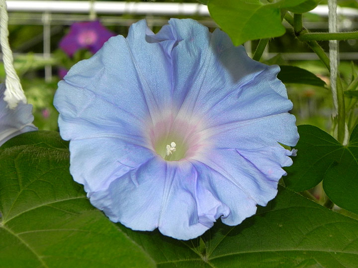 DSCN0342