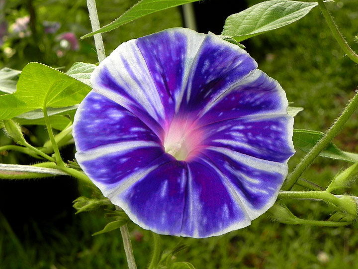 DSCN0358