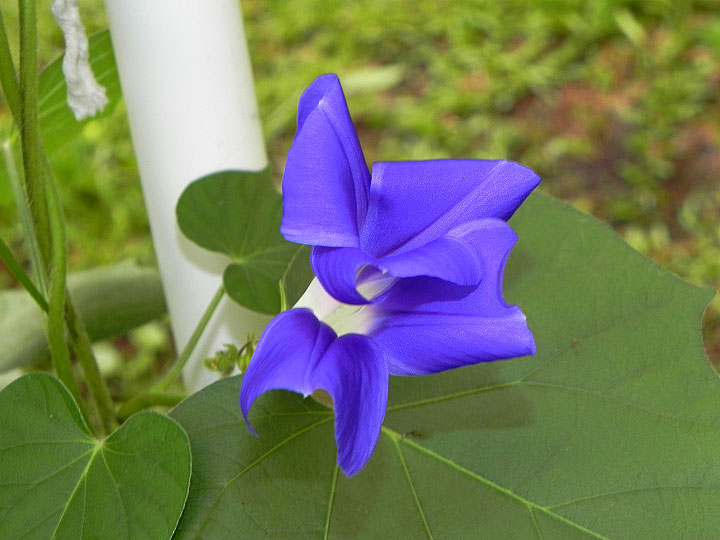 DSCN0362