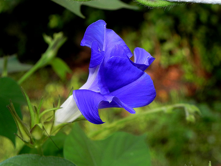 DSCN0364