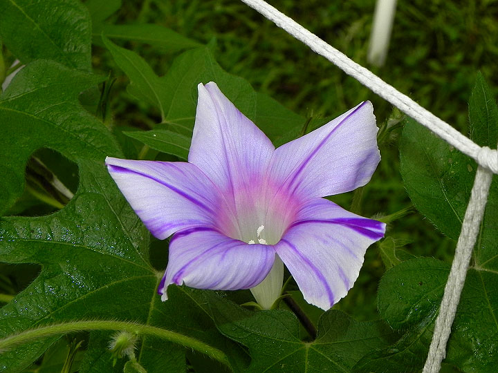 DSCN0370
