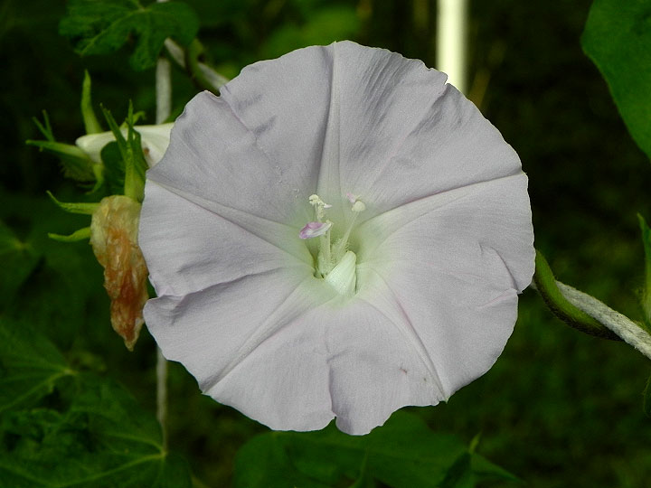 DSCN0372