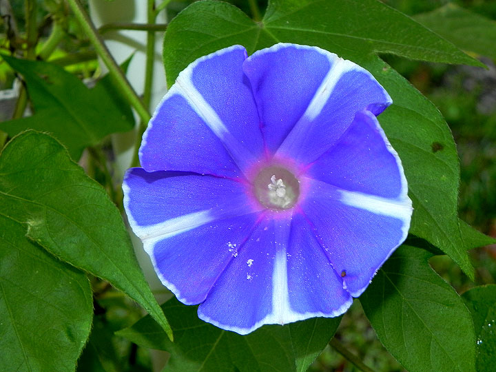 DSCN0389