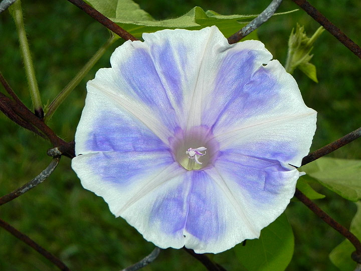DSCN0420
