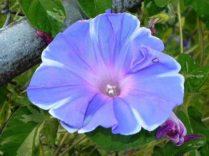 DSCN0422
