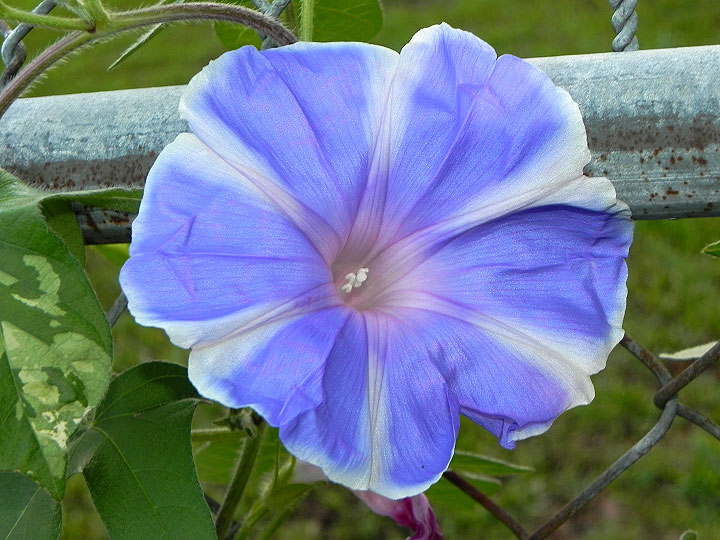 DSCN0442