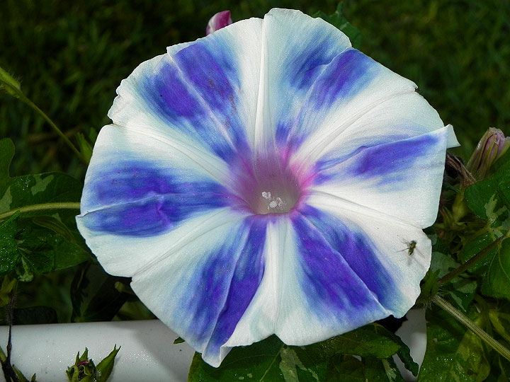 DSCN0459