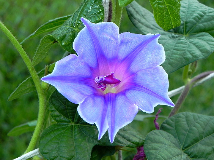 DSCN0460