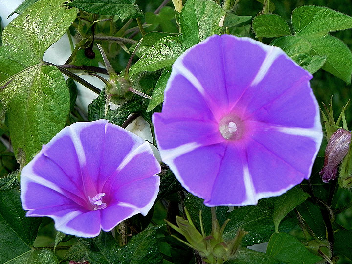 DSCN0461