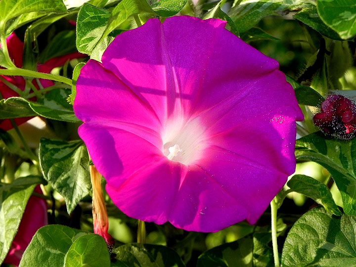 DSCN0502