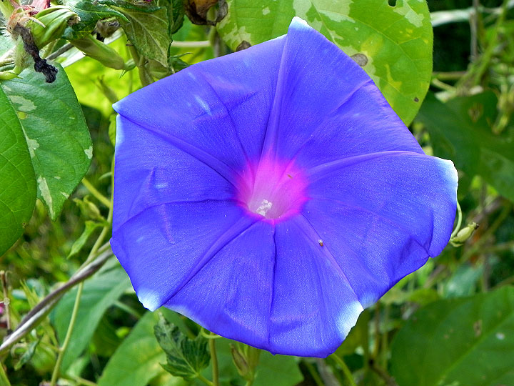 DSCN0515