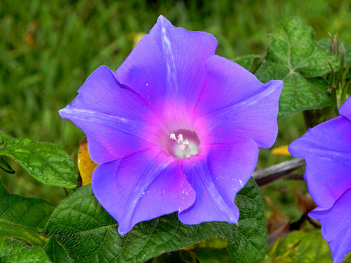 DSCN0603