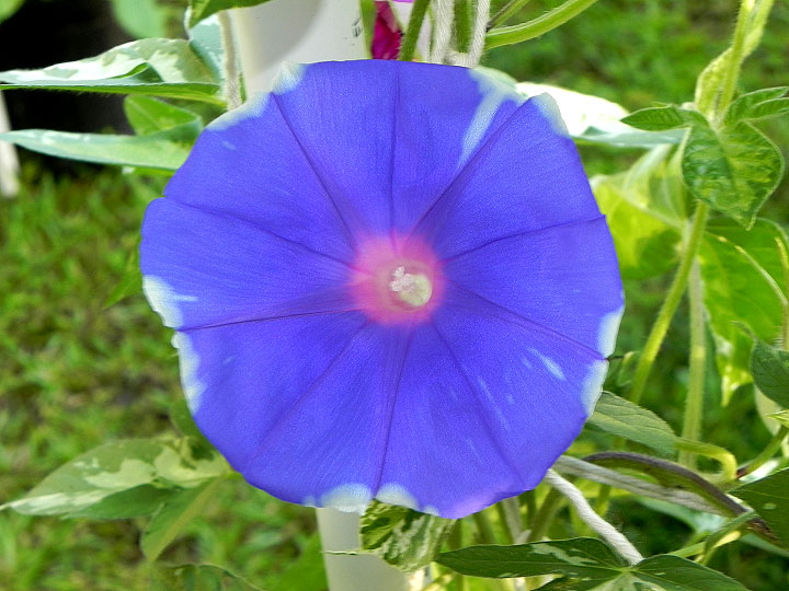 DSCN0619