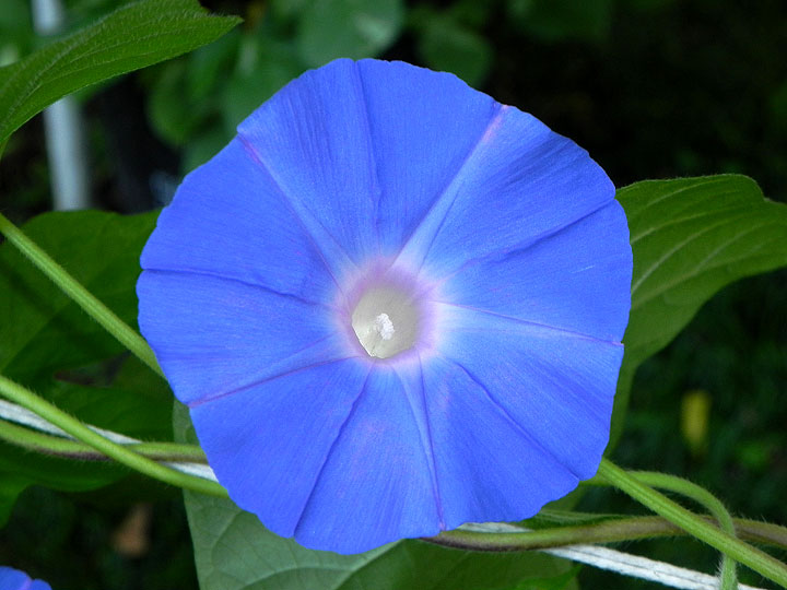 DSCN0628