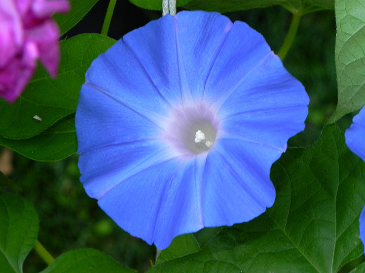 DSCN0629