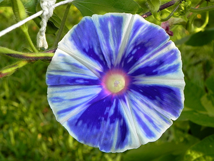 DSCN0640_01