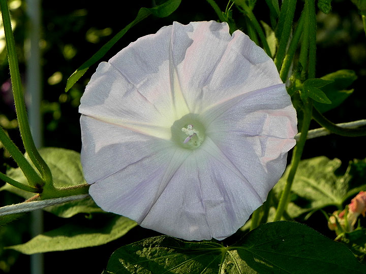 DSCN0659
