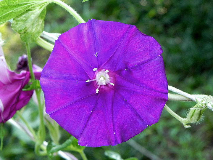 DSCN0668