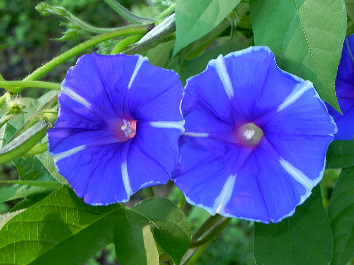 DSCN0670
