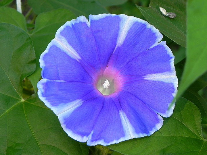 DSCN0673
