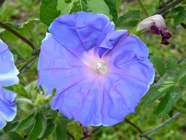 DSCN0723