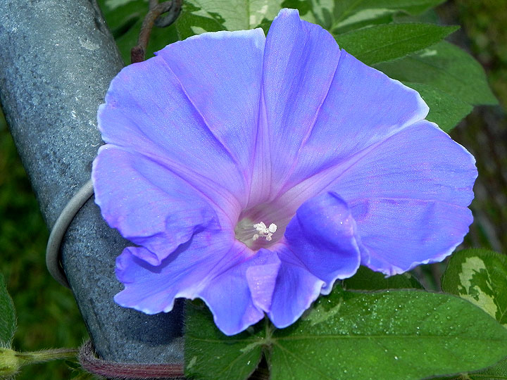 DSCN0725