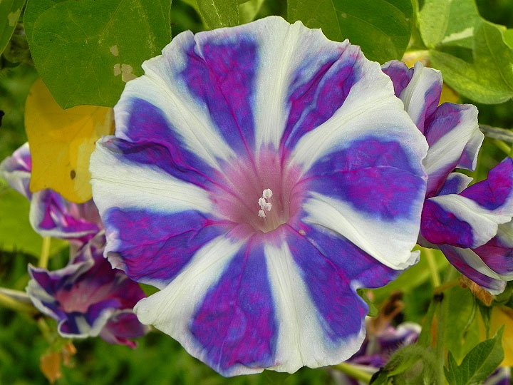 DSCN0760