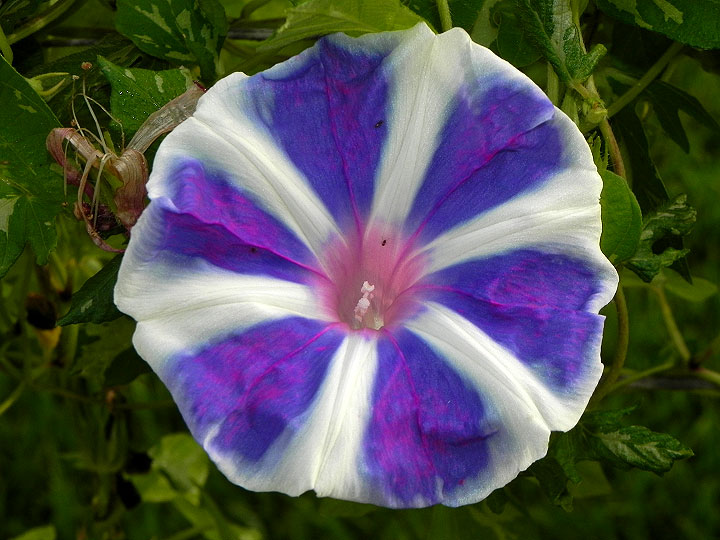 DSCN0761