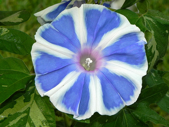 DSCN0770