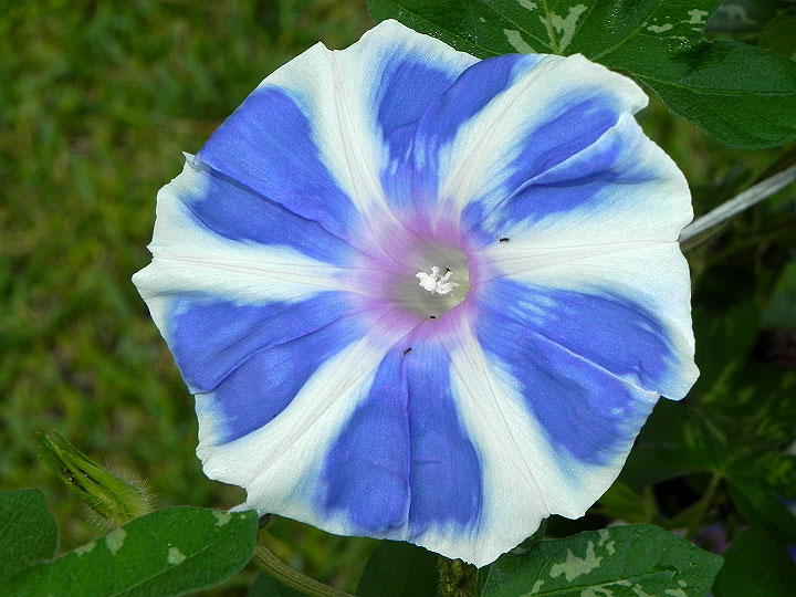 DSCN0771