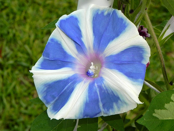 DSCN0775