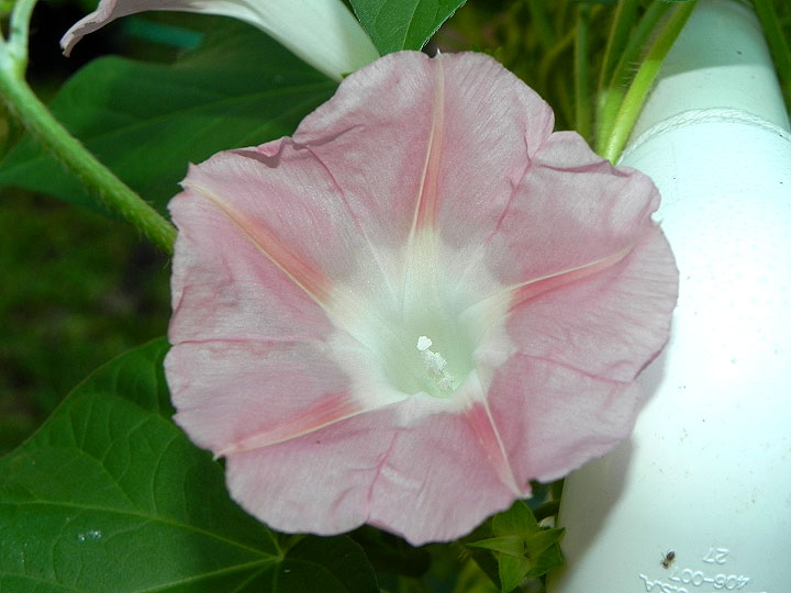 DSCN0839