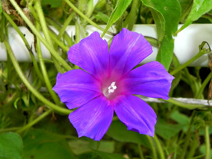 DSCN0842