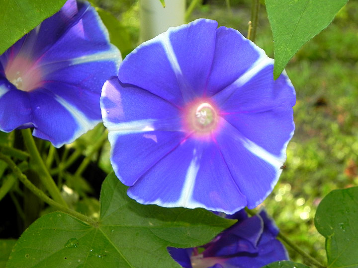 DSCN0845_01